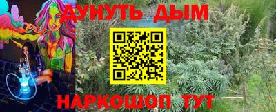 Альфа ПВП Обнинск